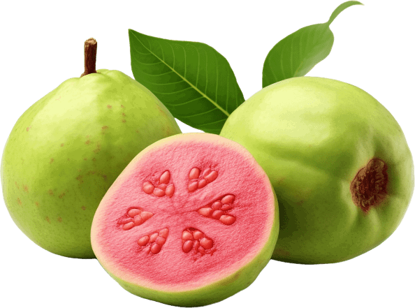 guava powder